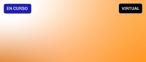 programas-focalizados-bkg-curso-virtual