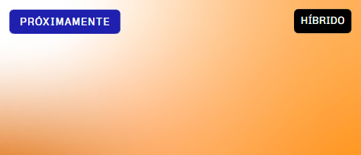 programas-focalizados-bkg-proximamente-hibrido